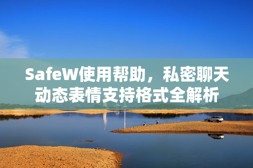 SafeW使用帮助，私密聊天动态表情支持格式全解析
