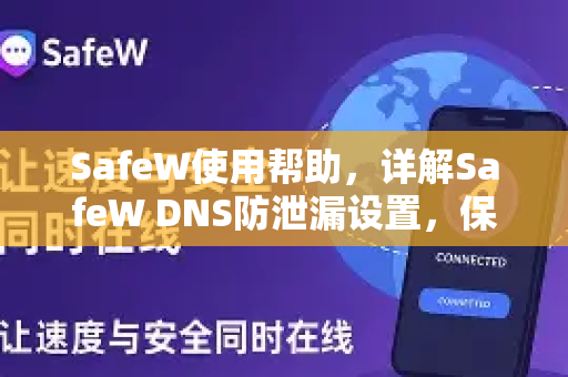 SafeW使用帮助，详解SafeW DNS防泄漏设置，保障网络安全