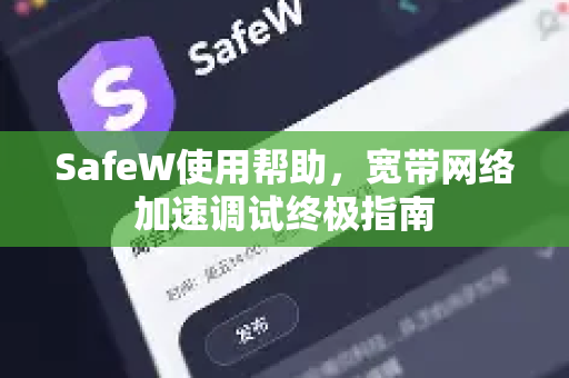 SafeW使用帮助，宽带网络加速调试终极指南